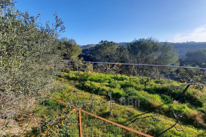 Terrain Nice Nice st isidore,   achat terrain   15280&nbsp;m&sup2;