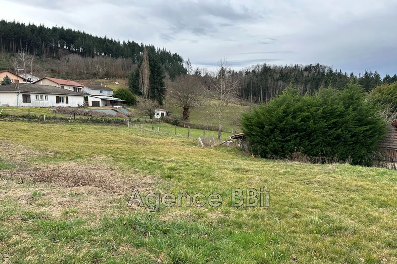 Vente terrain constructible Cuinzier  