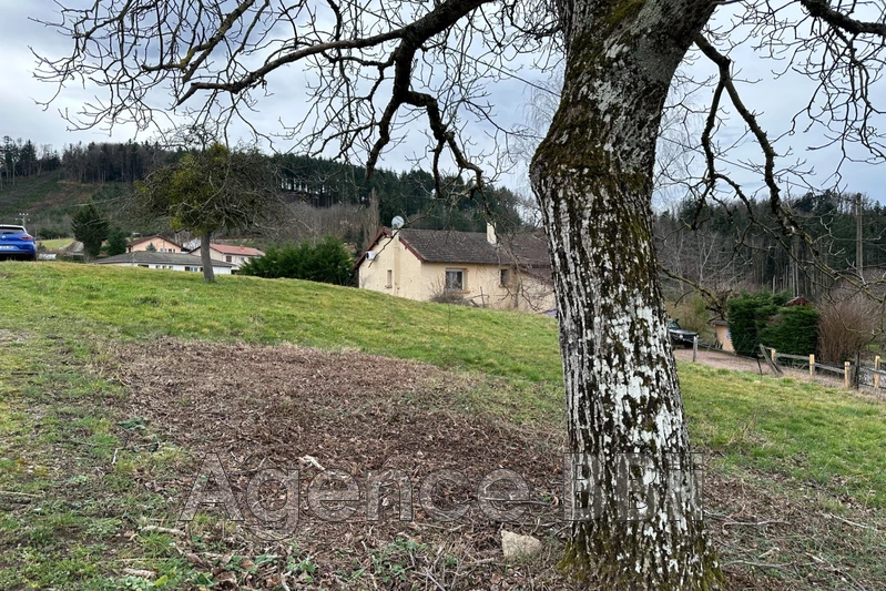 Vente terrain constructible Cuinzier  