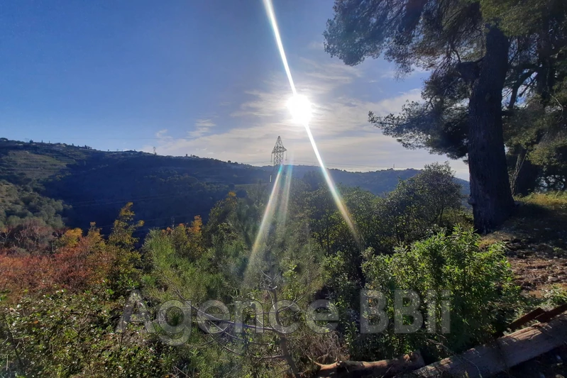Vente terrain Nice  