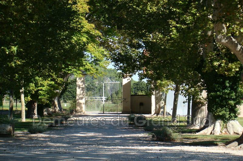 Photo Maison Beaumes-de-Venise Dentelles de montmirail,   achat maison  9 pièces   300&nbsp;m&sup2;