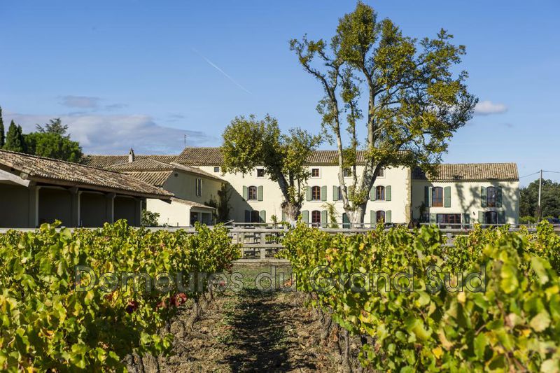 Photo Mas Gigondas Dentelles de montmirail, to buy mas 5 bedroom 720 m²