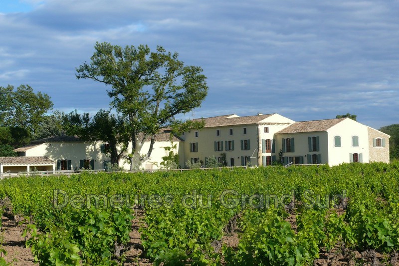 Photo Mas Gigondas Dentelles de montmirail, achat mas 5 chambres 720 m²