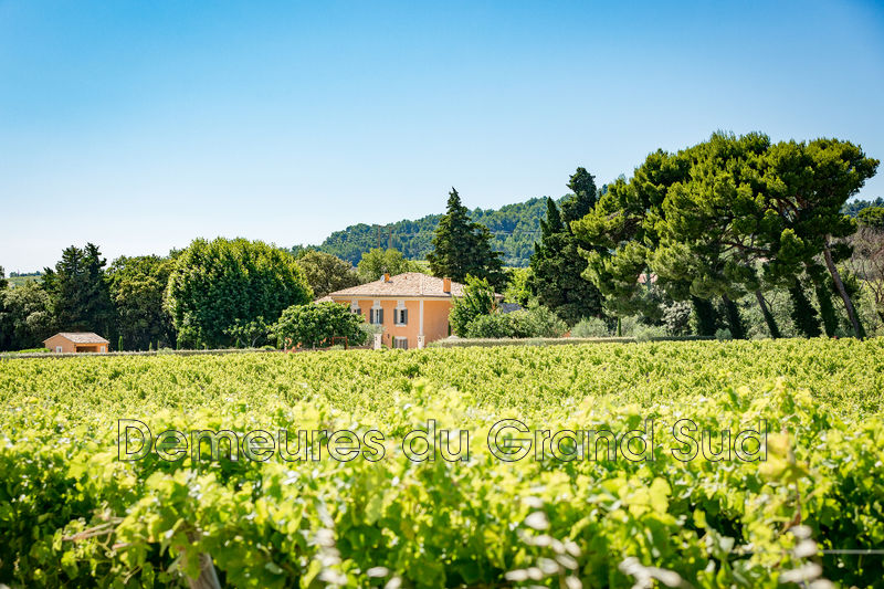 Photo Mas Vaison-la-Romaine Dentelles de montmirail, achat mas 6 chambres 220 m²