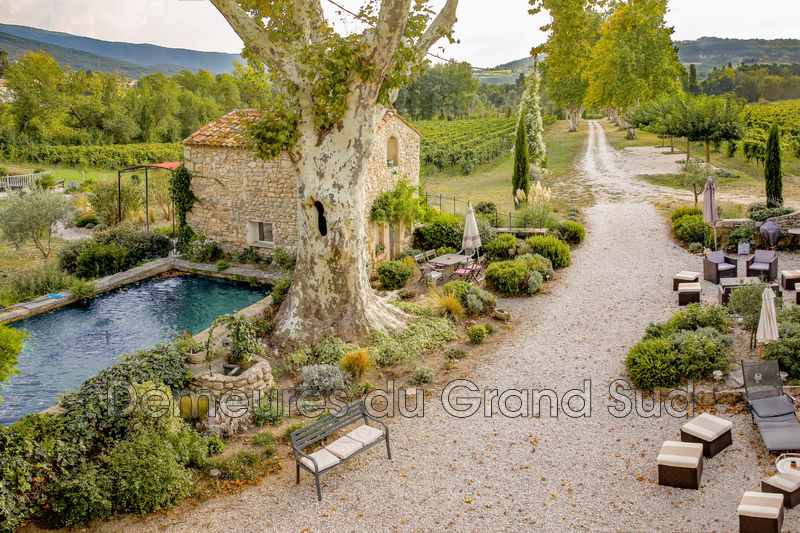 Photo Mas Bédoin Ventoux,   to buy mas  9 bedroom   470&nbsp;m&sup2;