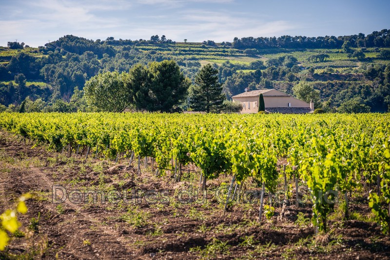 Photo Mas Séguret Dentelles de montmirail, to buy mas 5 bedroom 220 m²