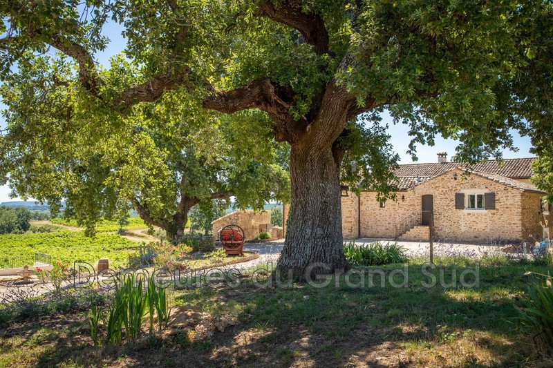 Photo Winery La Roque-sur-Cèze Gard,   to buy winery  7 bedroom   300&nbsp;m&sup2;
