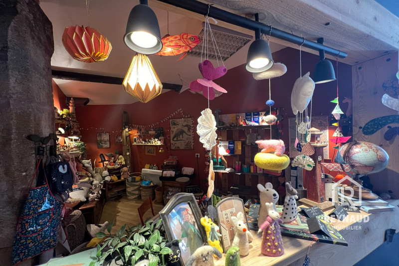 Professionnel local professionnel Clermont-l'Hérault  