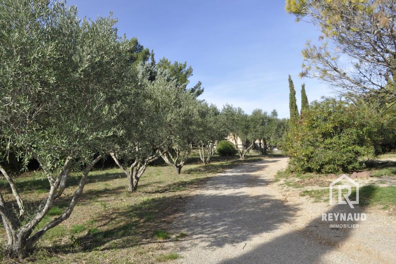 Photo Property Clermont-l'Hérault Lac du salagou, to buy property 4 bedroom 230 m²