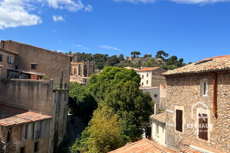 Photo Maison Clermont-l&#039;Hérault Centre-ville,   achat maison  6 chambres   180&nbsp;m&sup2;