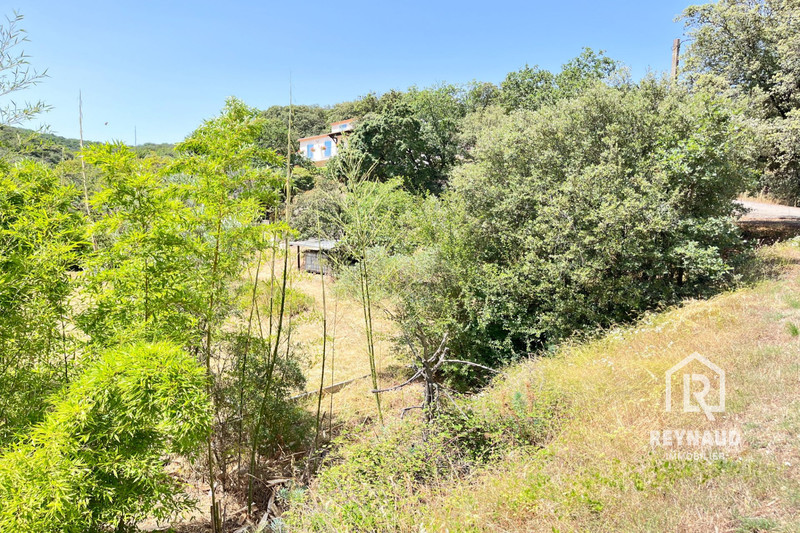 Vente maison de campagne Clermont-l'Hérault  