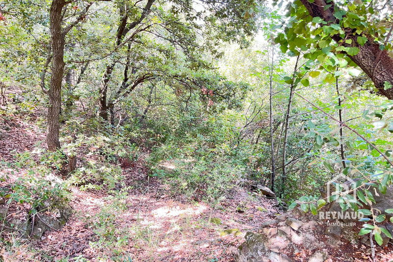 Vente maison de campagne Clermont-l'Hérault  