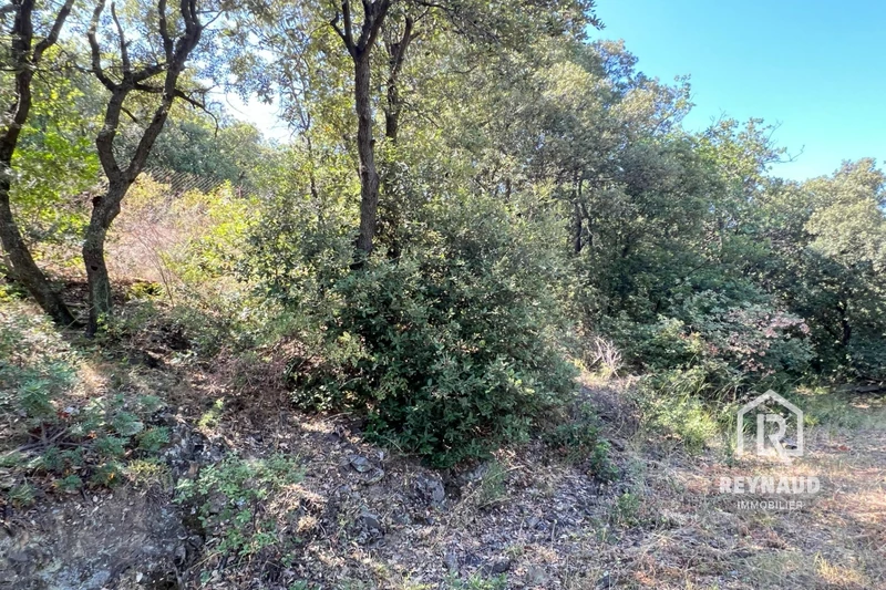 Vente maison de campagne Clermont-l'Hérault  