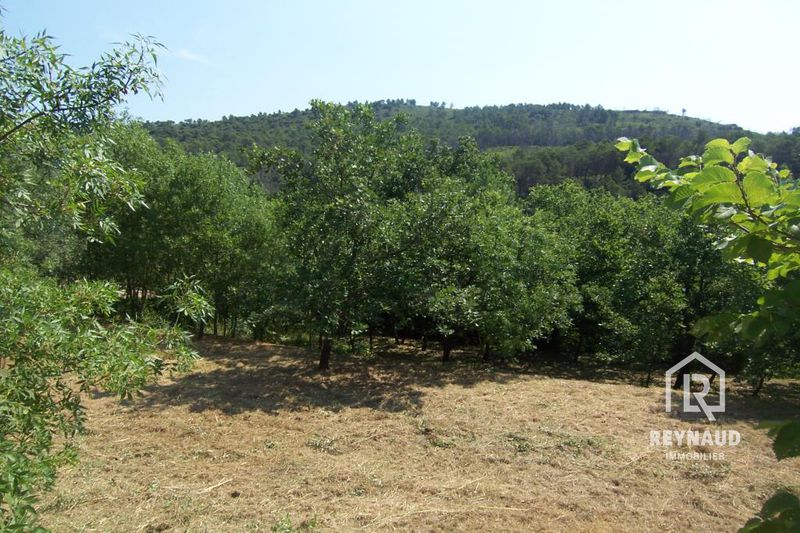 Photo Terrain constructible Clermont-l'Hérault Clermont l'hérault, achat terrain constructible 2944 m²