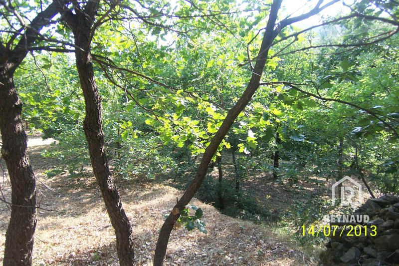 Photo Terrain constructible Clermont-l'Hérault Lac du salagou, achat terrain constructible 2944 m²