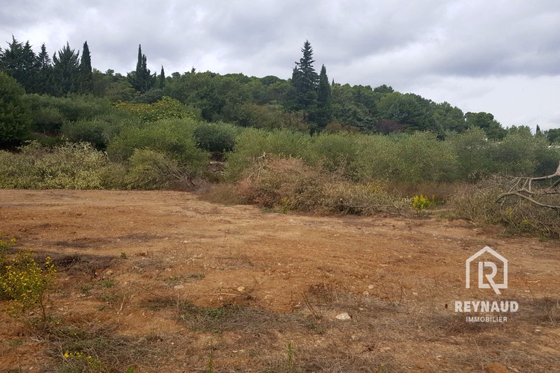 Photo Terrain Clermont-l'Hérault Lac du salagou, achat terrain 506 m²