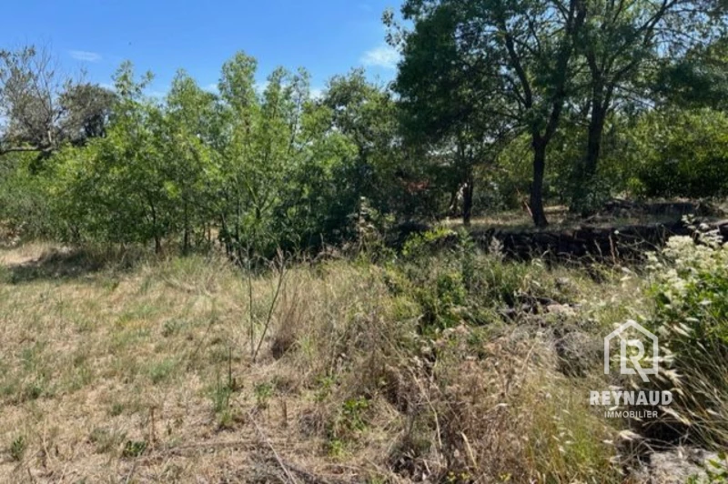 Photo Land Octon   to buy land   710&nbsp;m&sup2;