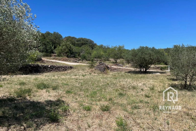 Photo Terrain Octon   achat terrain   710&nbsp;m&sup2;