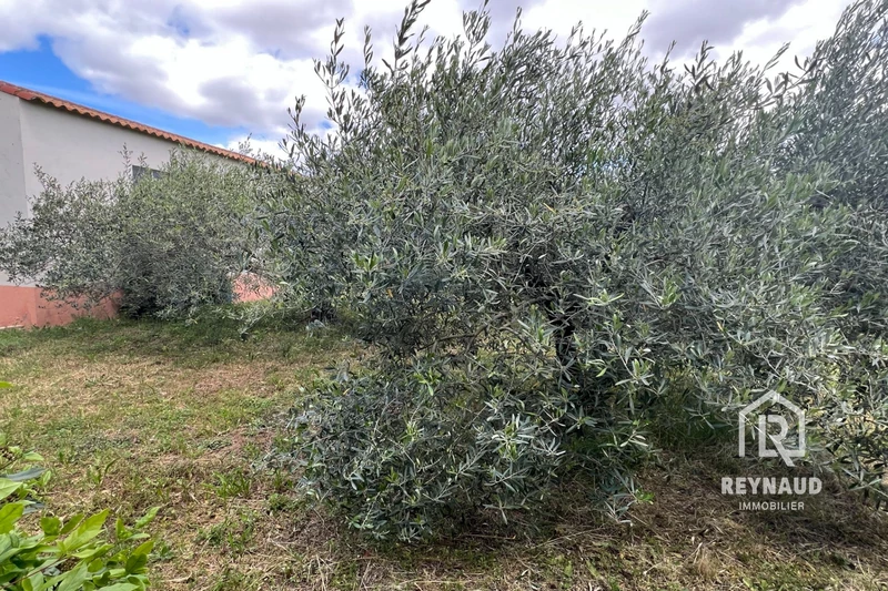 Photo Terrain Canet Clermont sud,   achat terrain   670&nbsp;m&sup2;