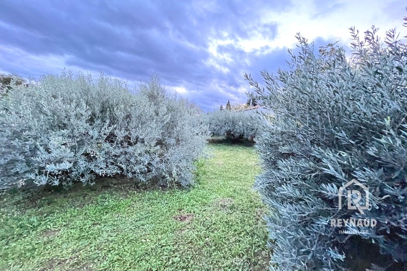 Vente terrain Canet  