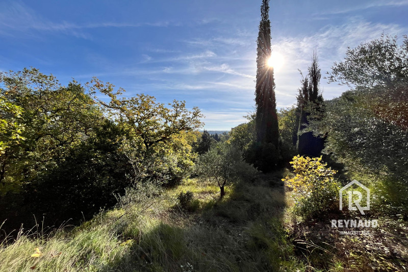 Vente terrain Clermont-l'Hérault  