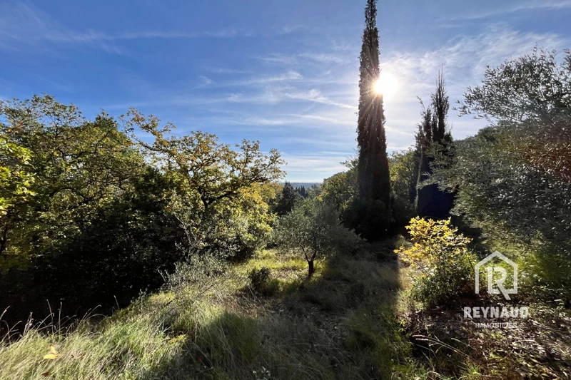 Vente terrain Clermont-l'Hérault  