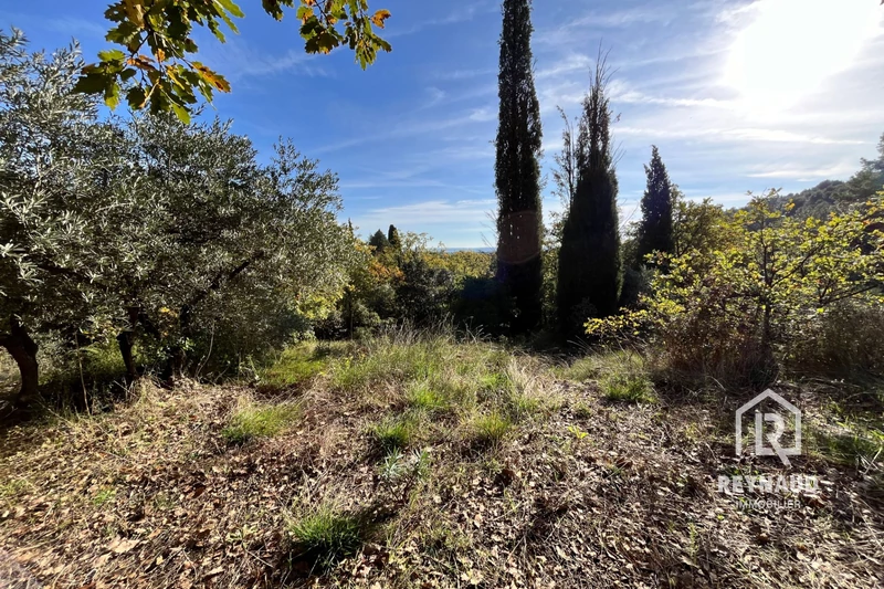 Photo Terrain Clermont-l&#039;Hérault   achat terrain   1850&nbsp;m&sup2;