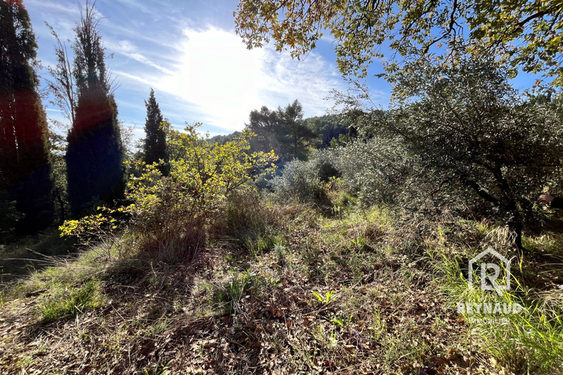 Vente terrain Clermont-l'Hérault  