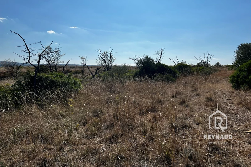 Vente terrain agricole Gignac  