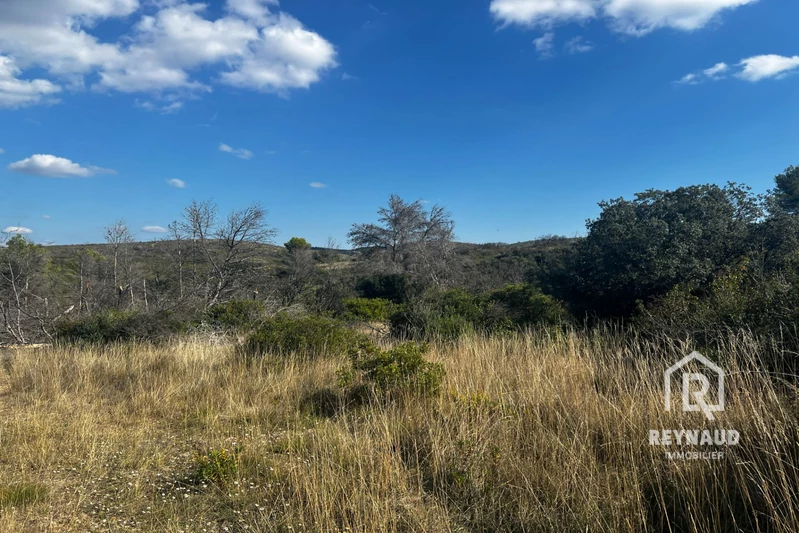Photo Terrain Gignac Gignac,   achat terrain   7200&nbsp;m&sup2;