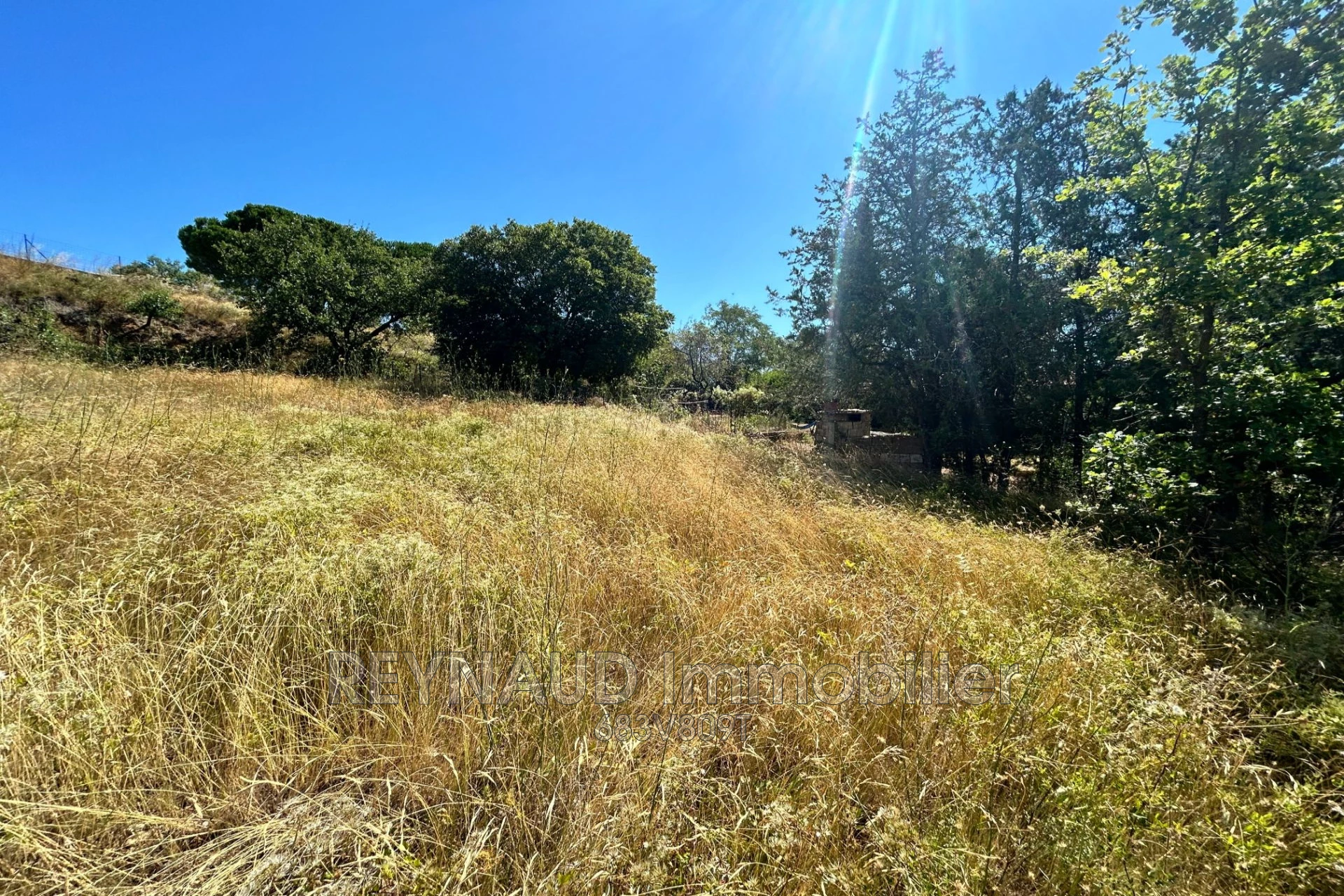 Terrain 800 m² · à Aspiran · 150 000 €