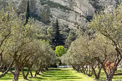 Location saisonnière mazet Saint-Rémy-de-Provence  