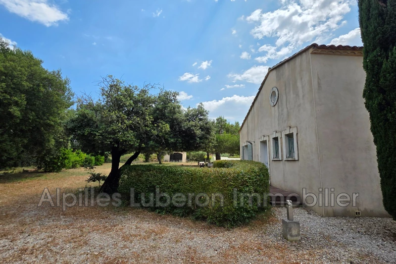 Location maison Eygalières  