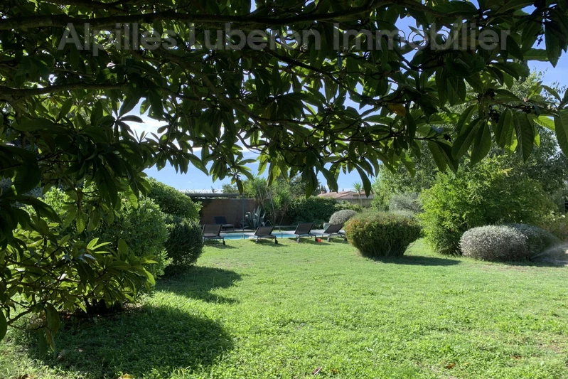 Location saisonnière mas Saint-Rémy-de-Provence  