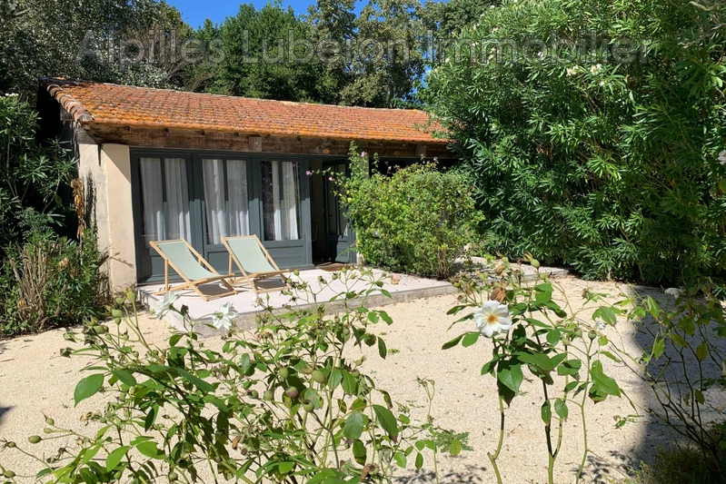 Location saisonnière mas Saint-Rémy-de-Provence  
