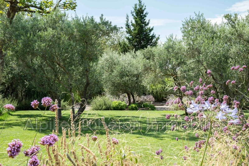 Location saisonnière mas Eygalières  