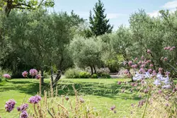 Location saisonnière mas Eygalières  