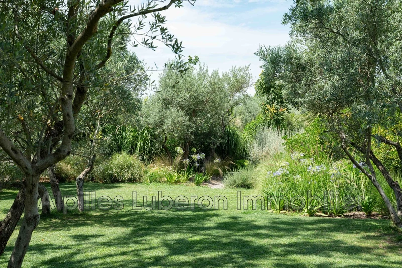 Location saisonnière mas Eygalières  