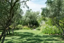 Location saisonnière mas Eygalières  