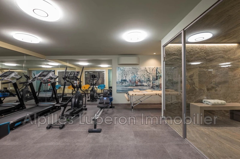 Location saisonnière mas Eygalières  