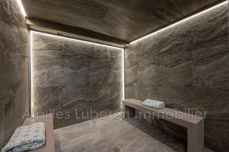 Location saisonnière mas Eygalières  