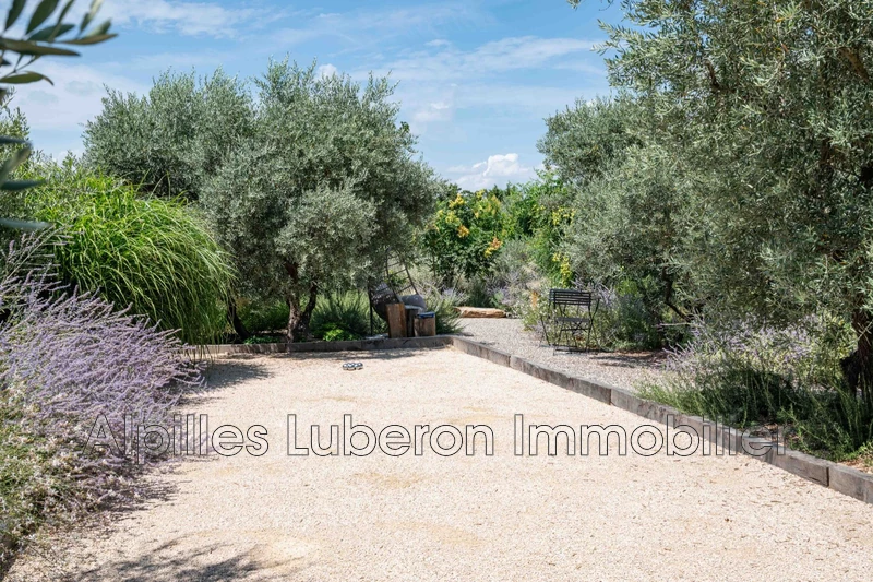 Location saisonnière mas Eygalières  