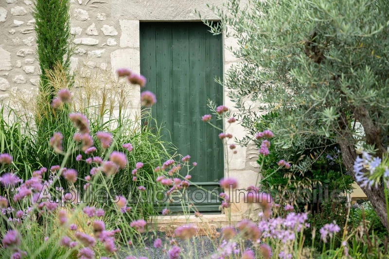 Location saisonnière mas Eygalières  