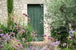 Location saisonnière mas Eygalières  