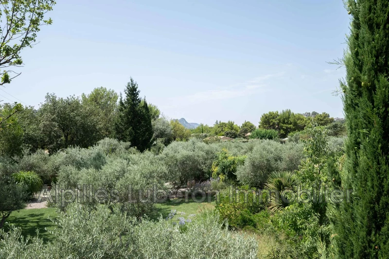 Location saisonnière mas Eygalières  