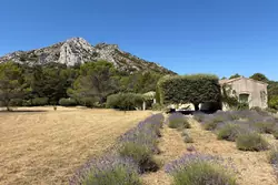 Location saisonnière maison Eygalières  