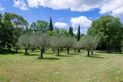 Location saisonnière mas Eygalières  