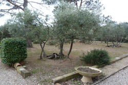 Location villa Eygalières  