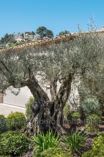 Location saisonnière maison de village Eygalières  