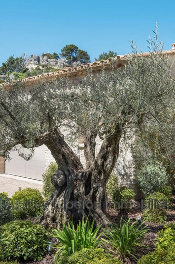 Location saisonnière maison de village Eygalières  